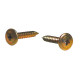 GECKO Screw Button Head Needle Point 8G x 12mm Pack of (200)